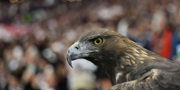 德甲彩经：法兰克福反客为主 圣保利主场拿分的精彩对决